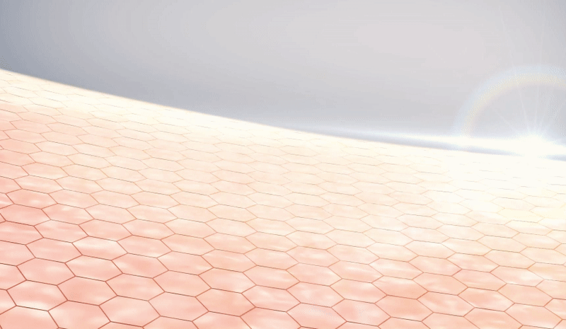 cos_bk01_014