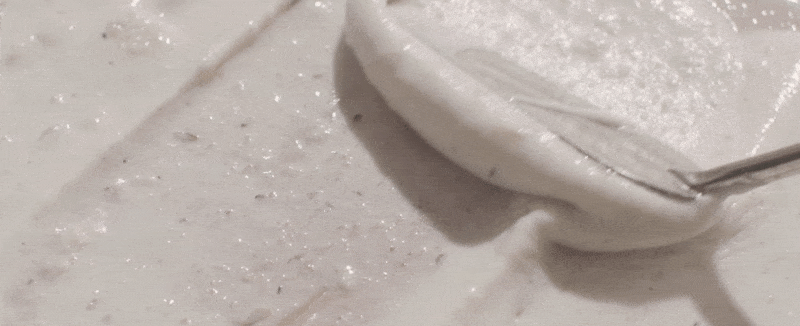 cos_bk01_018