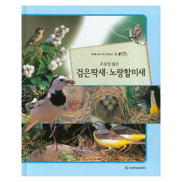 빅북 조심성 많은 검은딱새 노랑할미새 테마별 자연 나라 생태 탐구