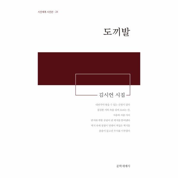 문학세계사 이노플리아 도끼발 김시언 시집