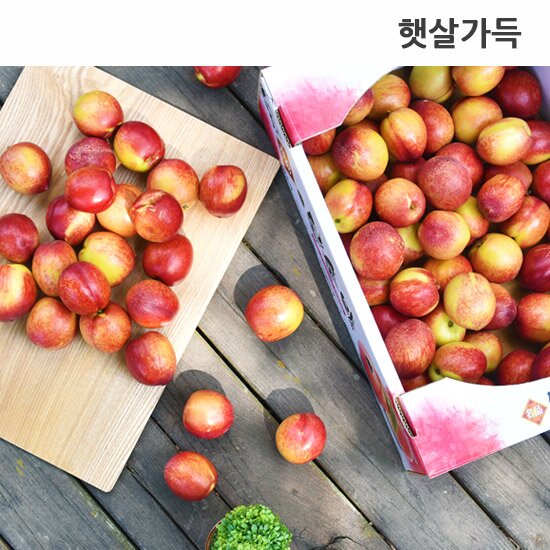 [햇살가득]달콤상콤 신비복숭아2kg 특로얄과(20과내외)