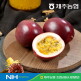[햇살바람]제주농협 패션후르츠 백향과 1.5kg 대과(개당 중량 75g 이상)