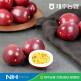 [햇살바람]제주농협 패션후르츠 백향과 1.5kg 대과(개당 중량 75g 이상)
