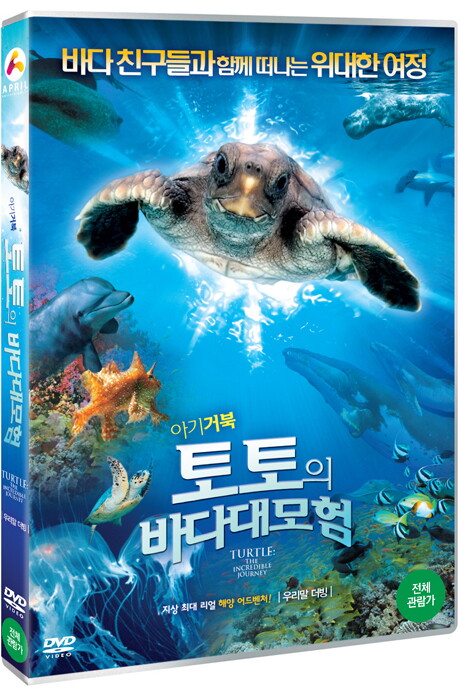 교보문고 DVD - 아기거북 토토의 바다대모험 [한국어 더빙] [TURTLE: THE
