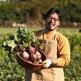 [알뜰총각][알뜰총각] 산지직송 제주 유기농 레드비트 3kg