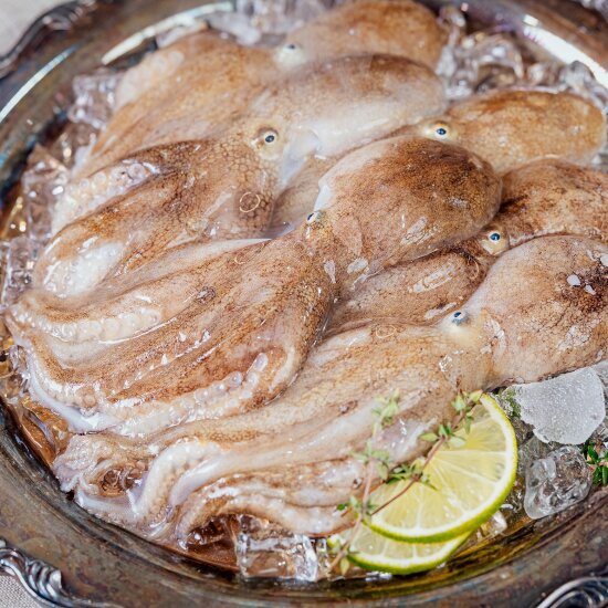 [산지직송] 태안 금테 주꾸미 300g*6팩, 총 1.8kg