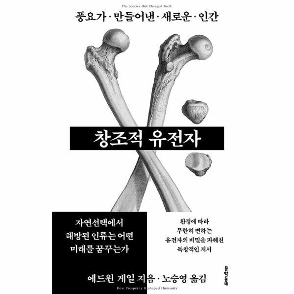 문학동네 북스토어 창조적 유전자 : 풍요가 만들어낸 새로운 인간