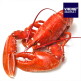 [바이킹마켓]바이킹마켓 점보사이즈 랍스터 3미, 총3.15kg 이상(미당 900-1200g)