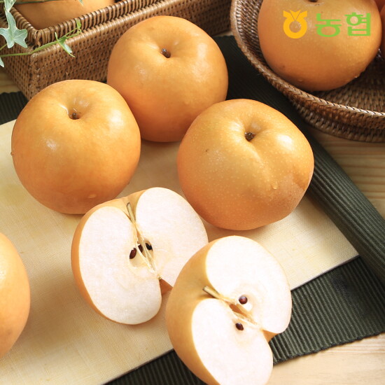 [태현]농협) 25년 추석선물세트 배(500~800g)3kg