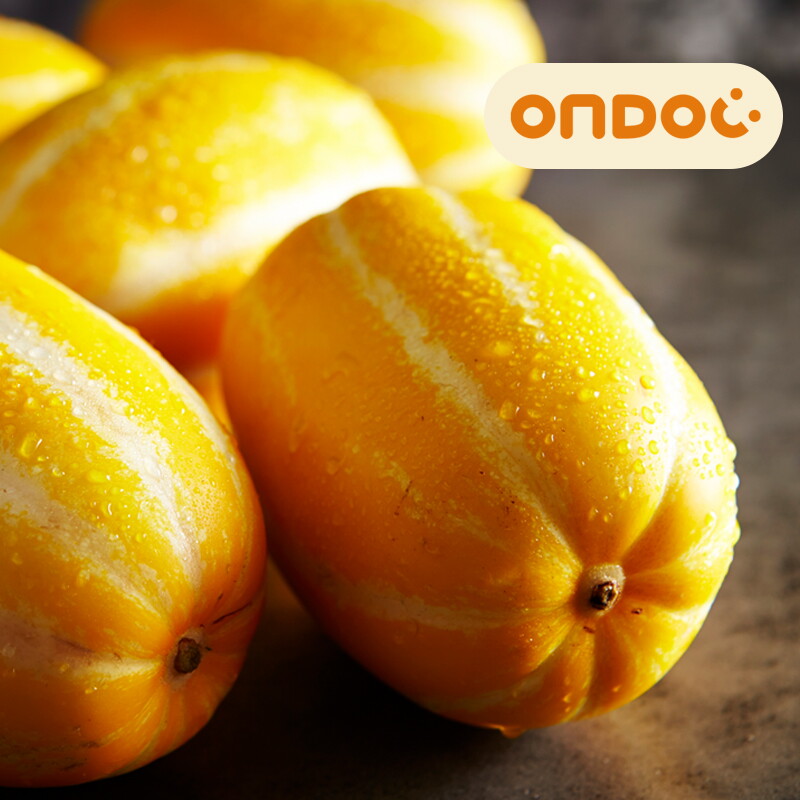 온도씨(백) (온도씨)성주 참외 10kg 46-66과(꼬마/실속형)