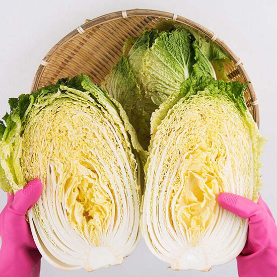 착한식탁 협력업체 착한식탁 [예약판매] 괴산 절임배추 20kg 7~10포기내외