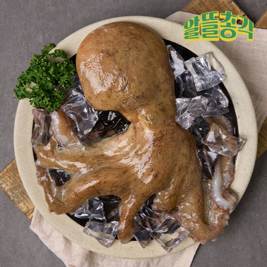 [알뜰총각][알뜰총각] 고흥 산지직송 일반용 돌문어 3-4미 2kg