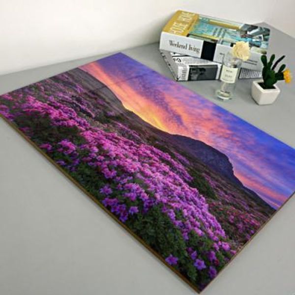 꾸밈 교보문고 꾸밈 tk099-아크릴액자 철쭉이만개한백록담