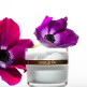 [시슬리_화장품](5월)시슬리아 랭테그랄 앙티아쥬 50ml 기획세트 (안티에이징 크림)