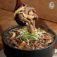 [소노정][소노정] 국내산 소고기 뚝배기불고기 등심불고기 500g x 4팩
