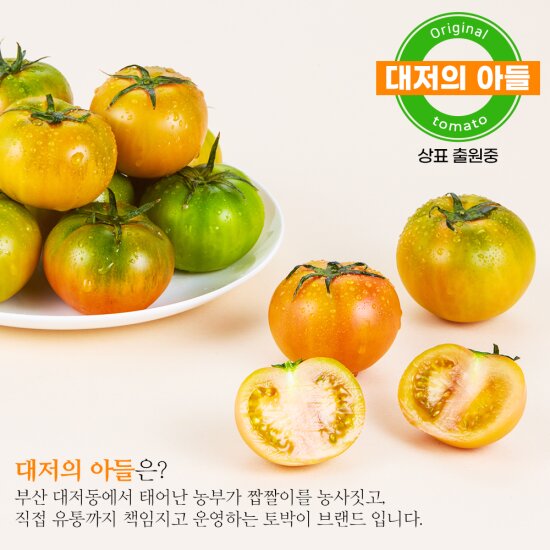 대저 짭짤이 토마토 2.5kg _(2S)