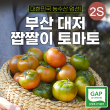 대저 짭짤이 토마토 2.5kg _(2S)