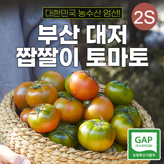 대저 짭짤이 토마토 2.5kg _(2S)
