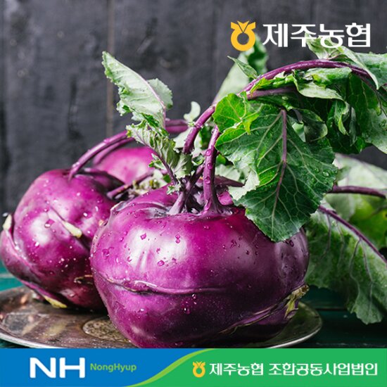 [제주농협] 햇콜라비 10kg/box(과당 600-800g, 박스당 13-17입)(T)