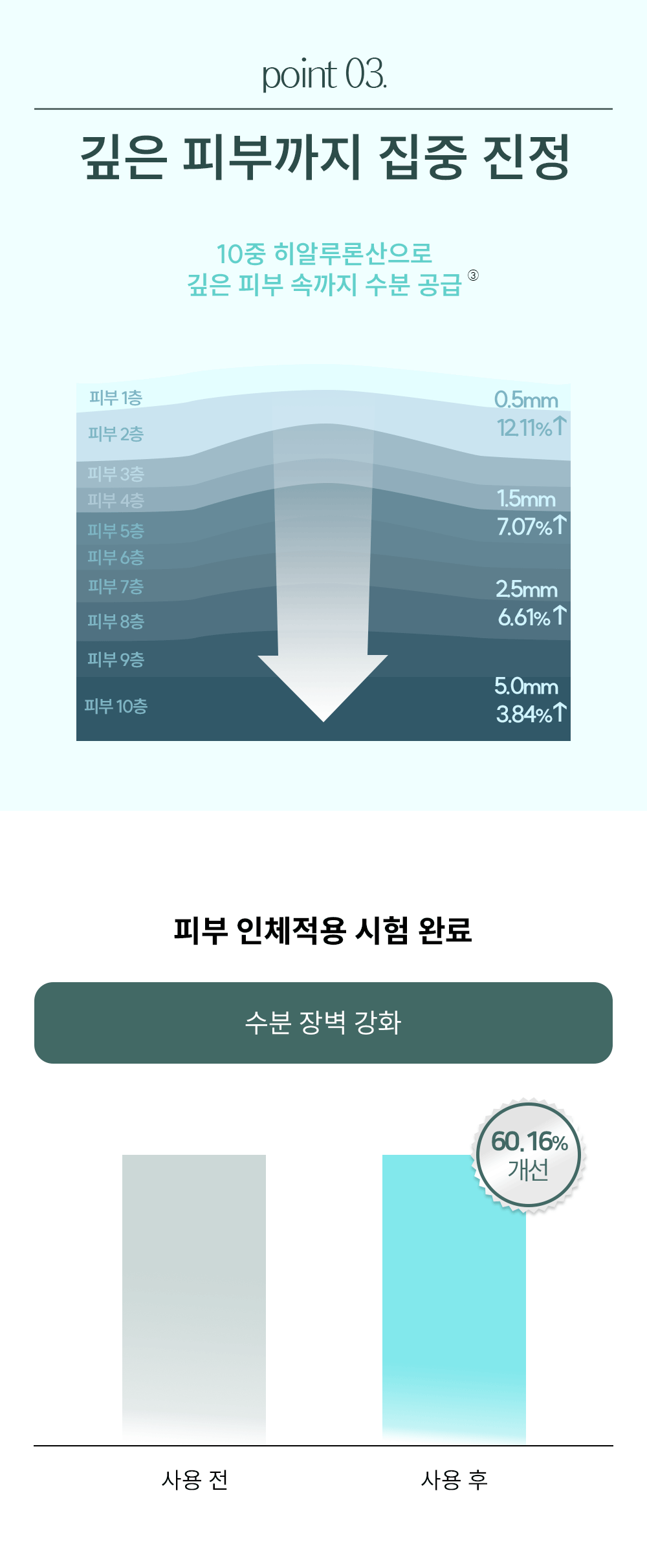 CICA_pad_01_6_1