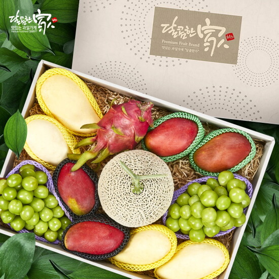 [달콤한家][달콤한가]프리미엄 에디션 과일혼합세트 2호(애플망고4+골드망고4+메론1+샤인2+용과1) 총 12과 6.7kg내외