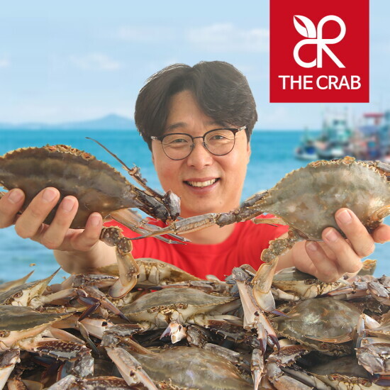 더꽃게 더꽃게 겨울 체철해산물 꽃게/오징어/가리비/방어/숭어/밀복/홍합/맛조개