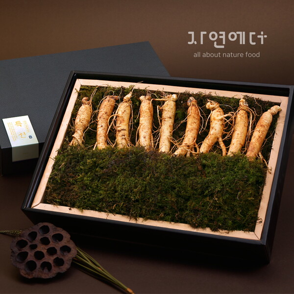 기타 [하프클럽/케이쇼핑]자연에더 인삼 선물세트 1호 450g