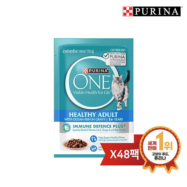 브이펫 원 캣 습식 파우치 청정바다생선맛 70g 48팩