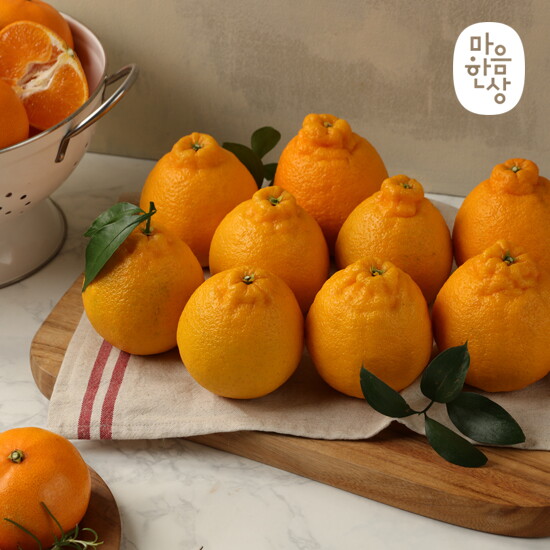 [마음한상][햇살가득]제주 햇 한라봉 2kg (7~10과내외)