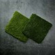 [바다숲]바다숲 감태 선물세트(생감태 6g x 7봉(35매) + 구운감태 18g x 5봉(25매) 총60매 + 쇼핑백)
