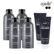 ☆방송중 트리트먼트 2개☆ 컬러체인지 염색샴푸 300ml 4개 + 트리트먼트 200ml 2개 (블랙/다크브라운)