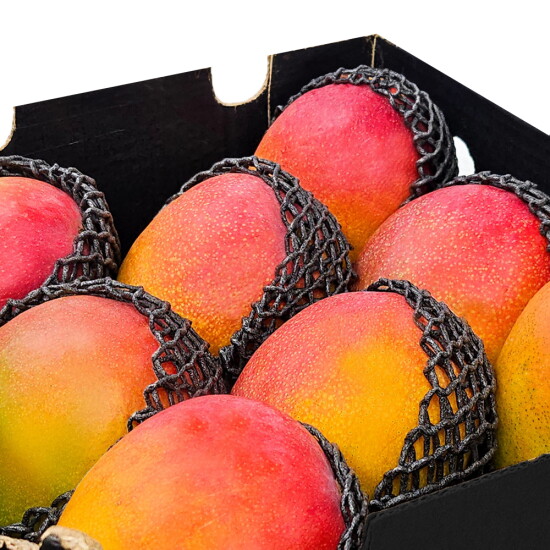 [페루산 애플망고]페루산 애플망고 4kg (8-10과)