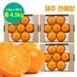 제주 천혜향 3박스 (총 4.5kg, 박스당 1.5kg)
