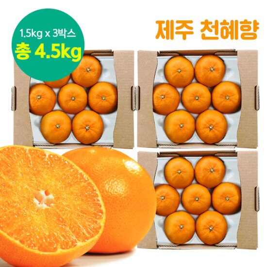 제주 천혜향 3박스 (총 4.5kg, 박스당 1.5kg)