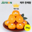 [퐝규의 오늘만 산다] 청정제주 제프런 천혜향 3kg