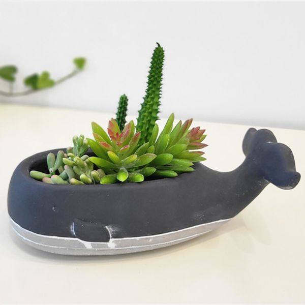 교보문고 추카추카넷 Carnic japan 큰고래 도자기화분(블랙)