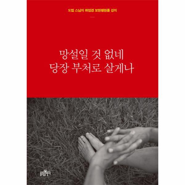 웅진북센 망설일 것 없네 당장 부처로 살게나 도법 스님의 화엄경 보현행원품 강의