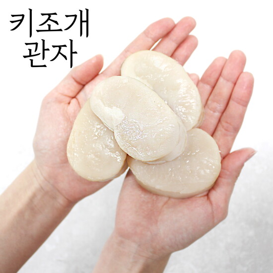 [서해안 자연산 키조개 관자]국내산 자연산 키조개 관자 240g x 4팩 (총 12미 / 960g)