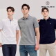 [세르즈블랑코](최초가 89,000원) SERGE BLANCO 24SS 남성 폴로 카라티셔츠 3종 