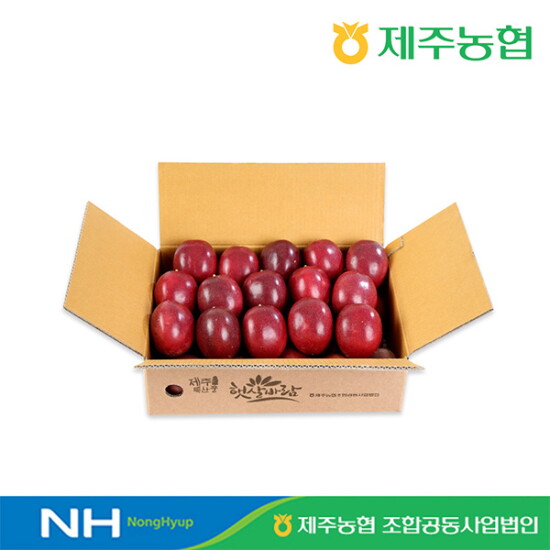 [햇살바람]제주농협 패션후르츠 백향과 1.5kg 중과(개당중량 60g 이상)