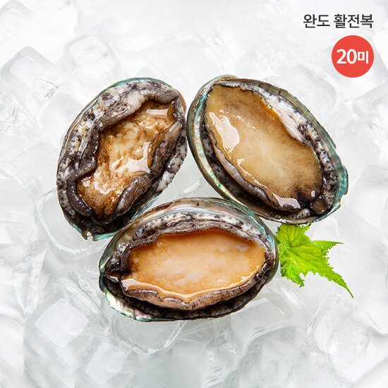 [특대 사이즈!] 프리미엄 완도 활전복  20미(총 1.6kg ,1미당  80_100g) 
