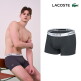 [라코스테]라코스테 LACOSTE 남성 시그니처로고 드로즈 7종