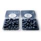 [CERRO EL PLOMO ]칠레산 생블루베리 총 12팩, 1.5kg(1팩당 125g) (T)