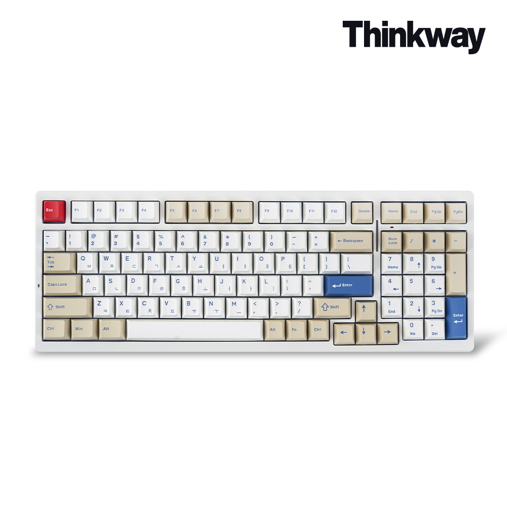 씽크웨이 씽크웨이 TV99 유무선 99배열 기계식 키보드 Soy Milk 오로라 아이스크림