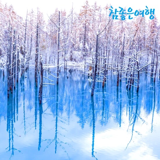 [참좋은여행][상담예약] 참좋은여행 북해도 4일 패키지