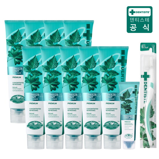 [덴티스테]★김지애단독 매니아구성★ 최신상 브리즈민트프로 고불소치약 풀패키지 (180g 9개 + 60g 2개 +칫솔 1개)