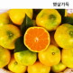 [햇살가득][햇살가득]제주 새콤달콤 극조생감귤 5kg 2S~M