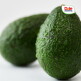 [돌][Dole 본사직영] 아보카도 대과 10개 2.2kg (개당 220g 내외)