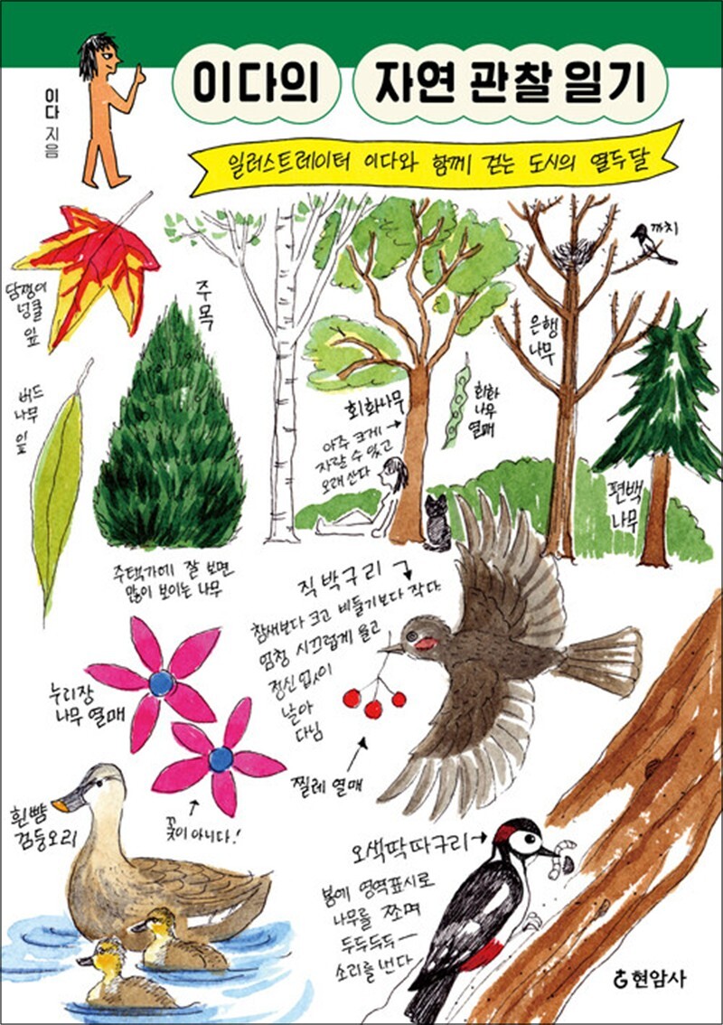 봄봄북스 [봄봄북스] [큰글자도서] 이다의 자연 관찰 일기 - 일러스트레이터 이다와 함께 걷는 도시의 열두 달