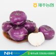 [제주농협] 햇콜라비 3.3kg/box(과당 550-600g, 박스당 6입)